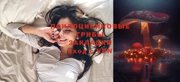 тгк Осинники