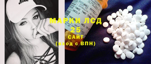 spice Богородск