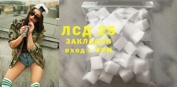 ГАЛЛЮЦИНОГЕННЫЕ ГРИБЫ Осинники