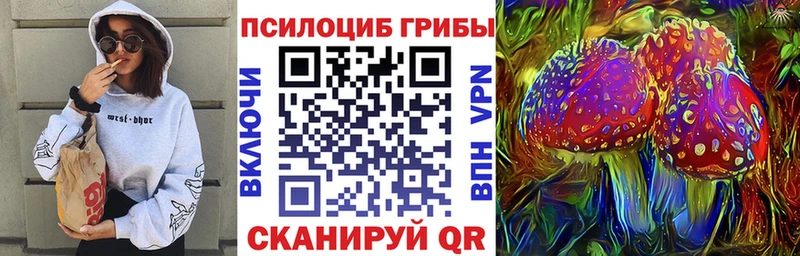 Псилоцибиновые грибы мухоморы Абакан