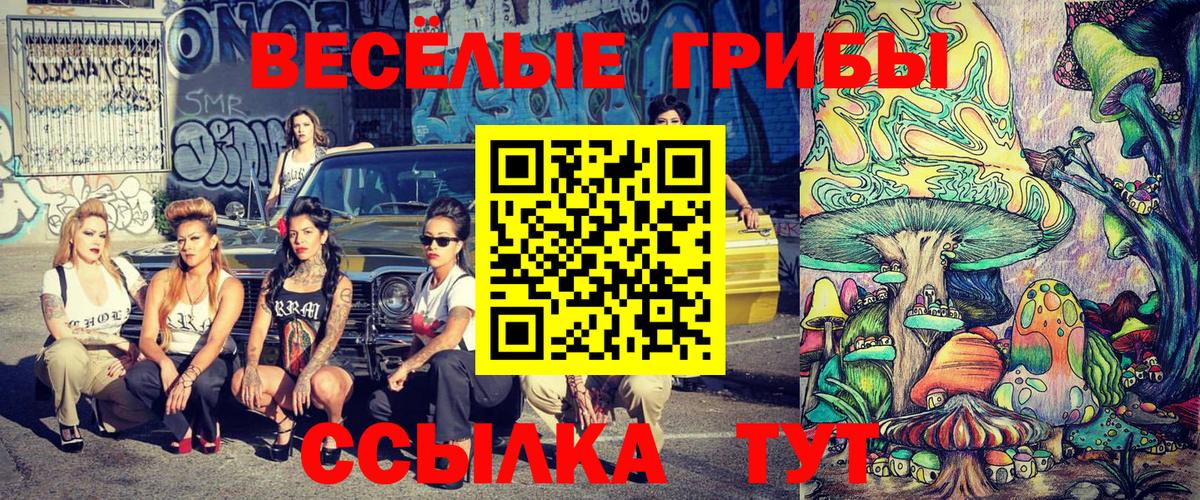 Галлюциногенные грибы Cubensis Абакан