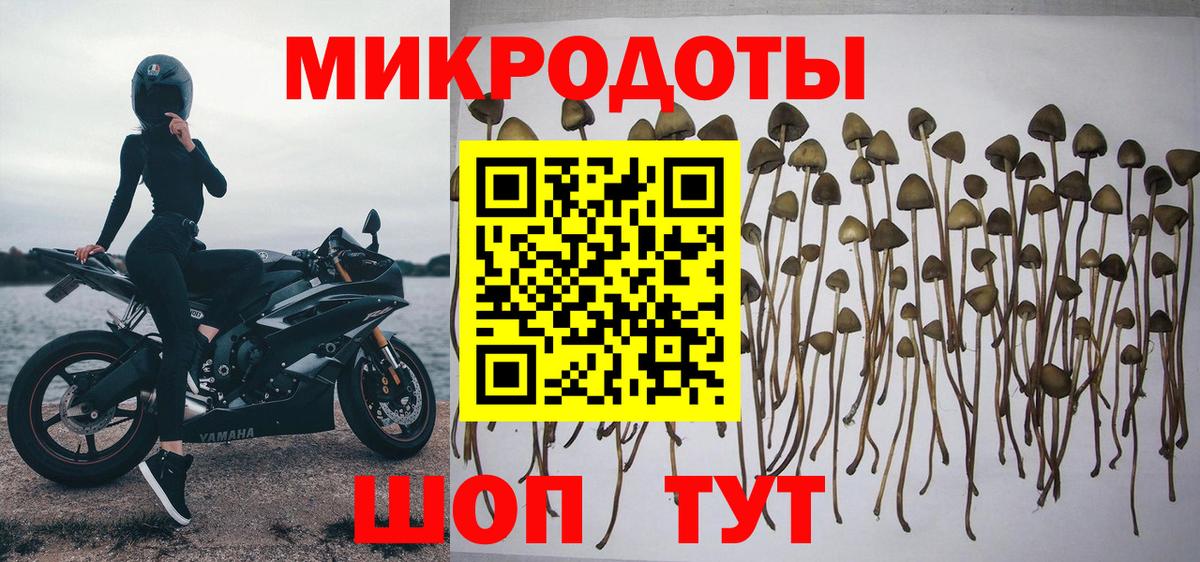 Псилоцибиновые грибы ЛСД Абакан